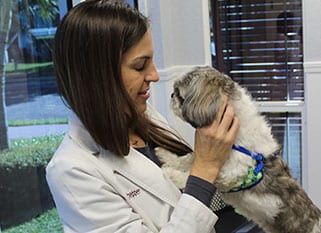 Dr-and-dog-face-to-face-paws-and-claws Veterinarian carrying dog: Pet Diagnostics in Dunedin
