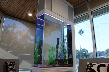fish tank in lobby