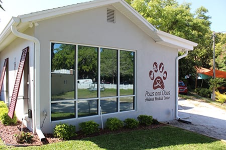 reviews of paws and claws animal medical center in dunedin, fl