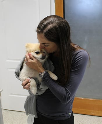 paws-and-claws-staff-kissing-dog Vet kissing dog: Emergency Pet Care in Dunedin