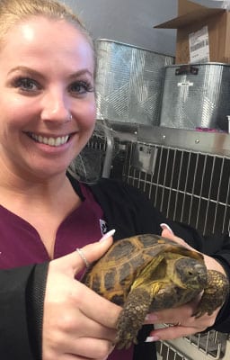 veterinarian holding a turtle
