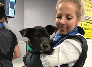 paws-and-claws-technician-erin-with-dog Vet holding dog: Pet Diagnostics in Dunedin
