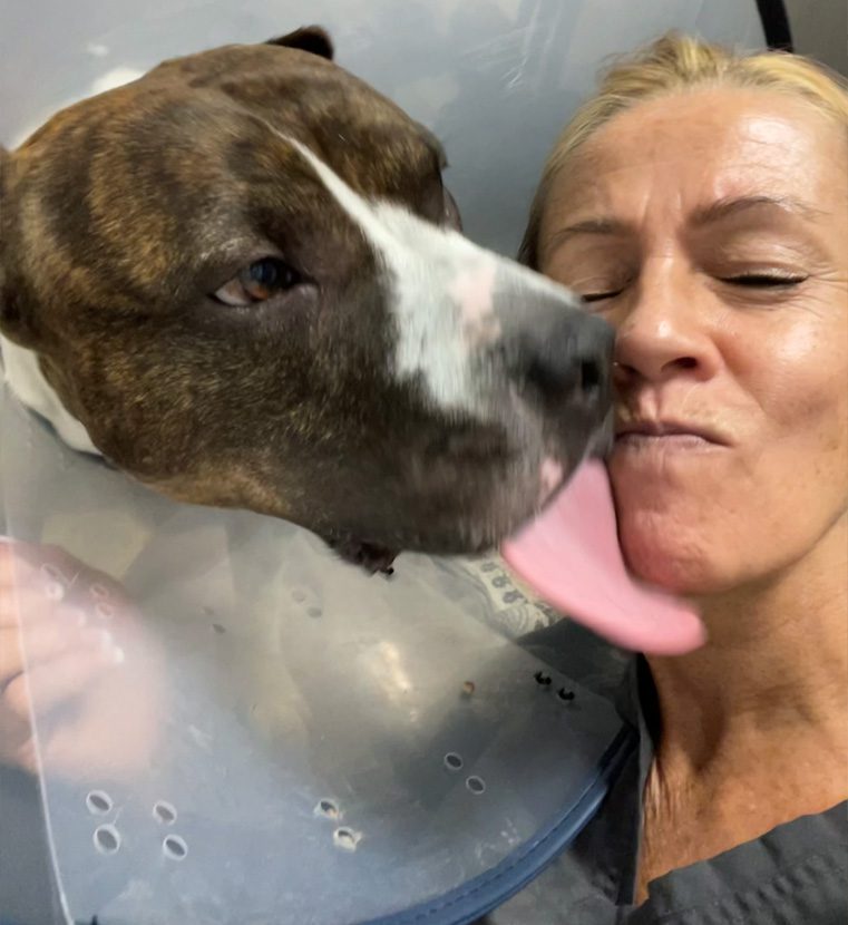 Dog with cone licks woman