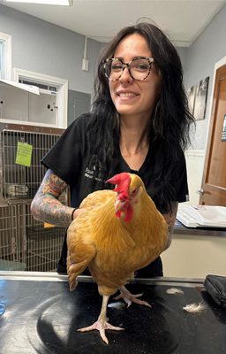vet-with-chicken
