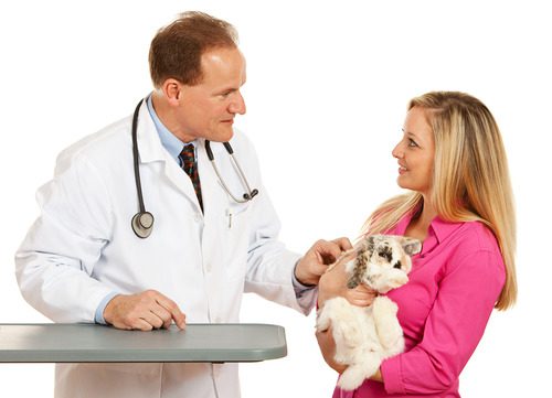 male-vet-talking-with-female-owner-holding-rabbit-in-her-arms